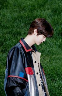 鹿晗歌曲背景照片,探寻音乐与视觉艺术的完美融合