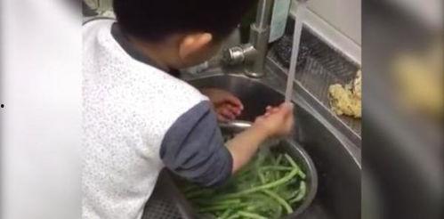 帮妈妈洗菜图片,记录帮妈妈洗菜的温馨时光