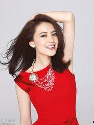 高圆圆照片大全,美丽瞬间，光影流转