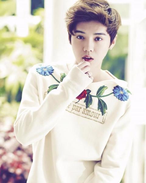 鹿晗的女朋友资料,美貌与才华并存，她是谁？