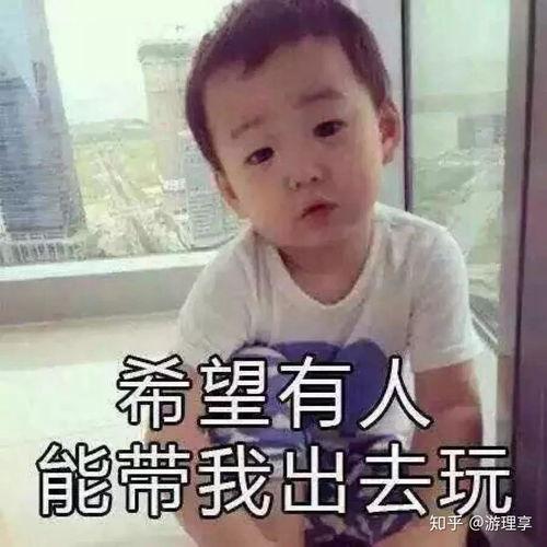 如花小粗腿表情包,网络潮流中的幽默魅力