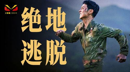 绝地逃亡背景音乐,紧张刺激的旋律演绎生死较量